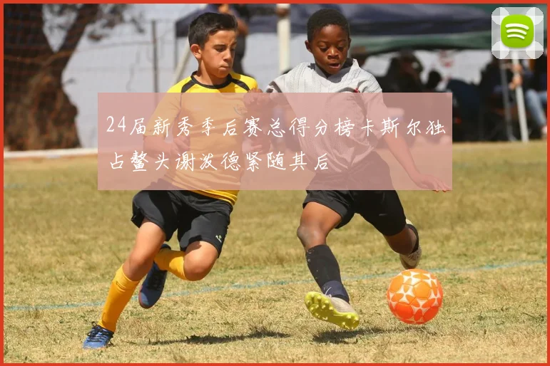 24届新秀季后赛总得分榜卡斯尔独占鳌头谢泼德紧随其后