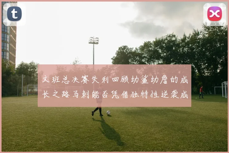 文班总决赛失利回顾幼鲨幼詹的成长之路马刺能否凭借独特性逆袭成功